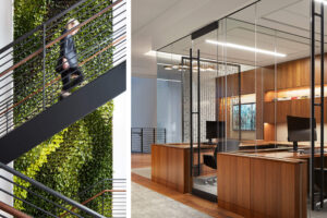 two photos - the left showing a person walking up stairs in front of a green living plant wall, the right of private offices with wood millwork and glass walls and doors